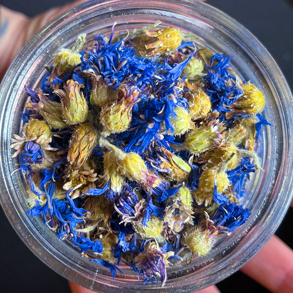 Blue Cornflowers ~ 10g