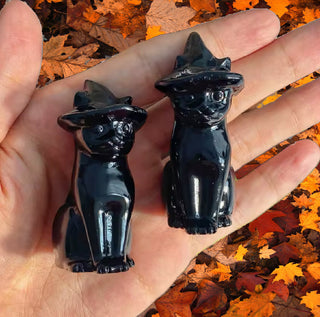 Obsidian Witch’s Familiar Cat