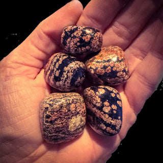 ed Snowflake Obsidian ~ Hecate’s Crossroads Crystal