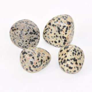 Crystals Dalmatian Jasper