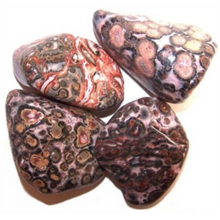 Crystals Leopardskin Jasper