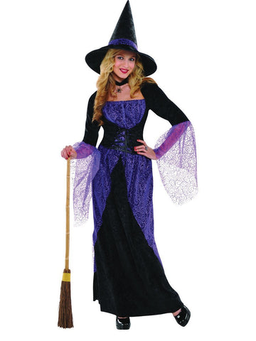Halloween Pretty Potion Witch - Adult Costume