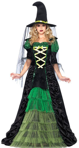 Halloween Storybook Witch - Adult Costume