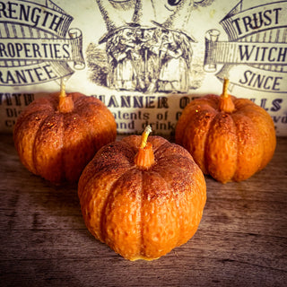 Pumpkin Candle ~ Pumpkin Caramel Swirl