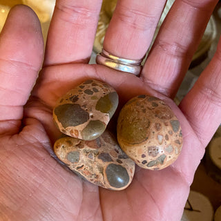 Leopardite Tumblestone