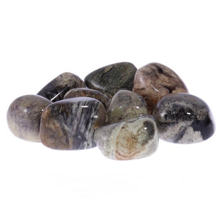 Silver leaf Jasper Tumblestone