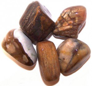Petrified Wood